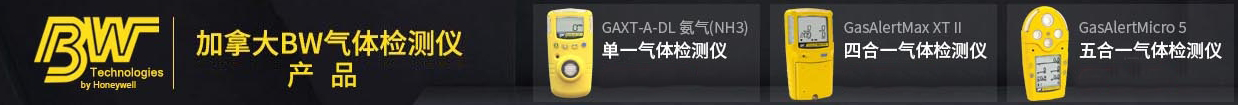 BW氣體檢測儀